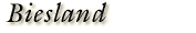 Biesland